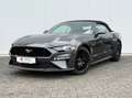 Ford Mustang 5.0VVT-i GT Convertible 55 YEARS DT. FZG Grau - thumbnail 7