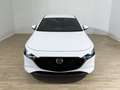 Mazda 3 Mazda3 e-Skyactiv-G M Hybrid Exclusive Line Bianco - thumbnail 2