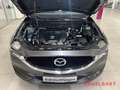 Mazda CX-5 Kangei 2WD 2.5 SKYACTIV-G 194 EU6d-T HUD Navi 360 Grau - thumbnail 14