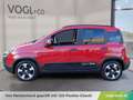 Fiat Panda Pandina Rot - thumbnail 2