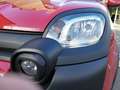 Fiat Panda Pandina Rot - thumbnail 18