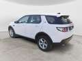 Land Rover Discovery Sport 2.0 TD4 150 CV SE Bianco - thumbnail 10
