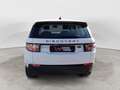Land Rover Discovery Sport 2.0 TD4 150 CV SE Bianco - thumbnail 7