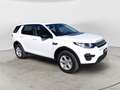 Land Rover Discovery Sport 2.0 TD4 150 CV SE Bianco - thumbnail 12