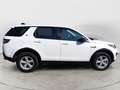 Land Rover Discovery Sport 2.0 TD4 150 CV SE Bianco - thumbnail 11
