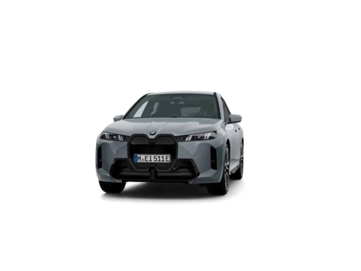 BMW iX xDrive 45 Gris - 1