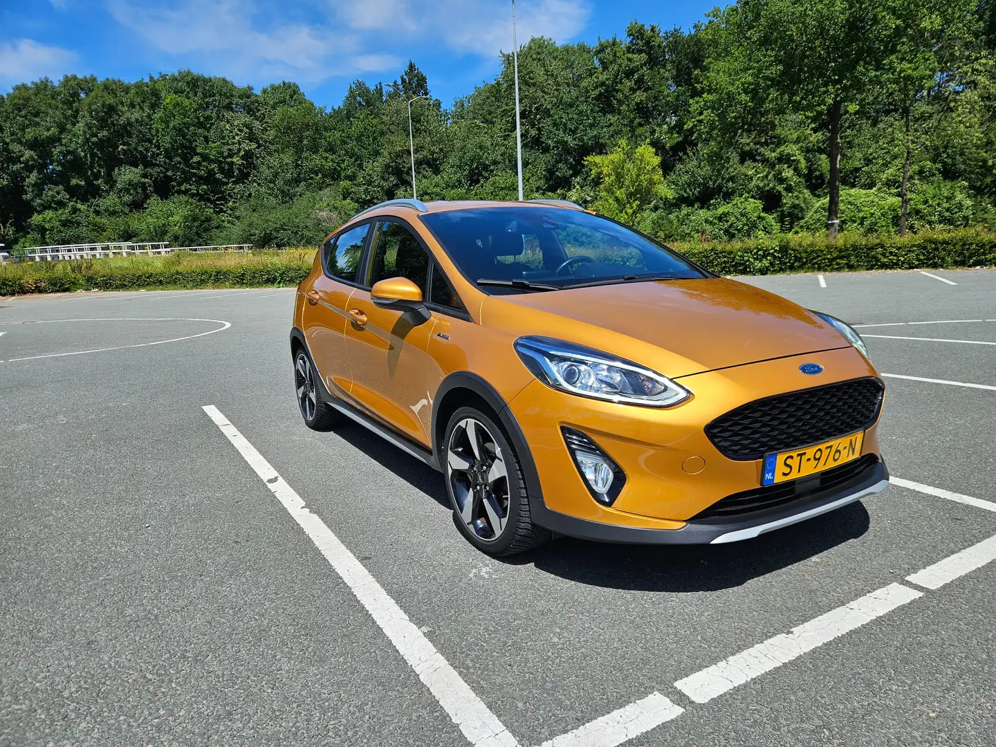 Ford Fiesta Fiesta 1.0 EcoB. Active F.E Goud - 2