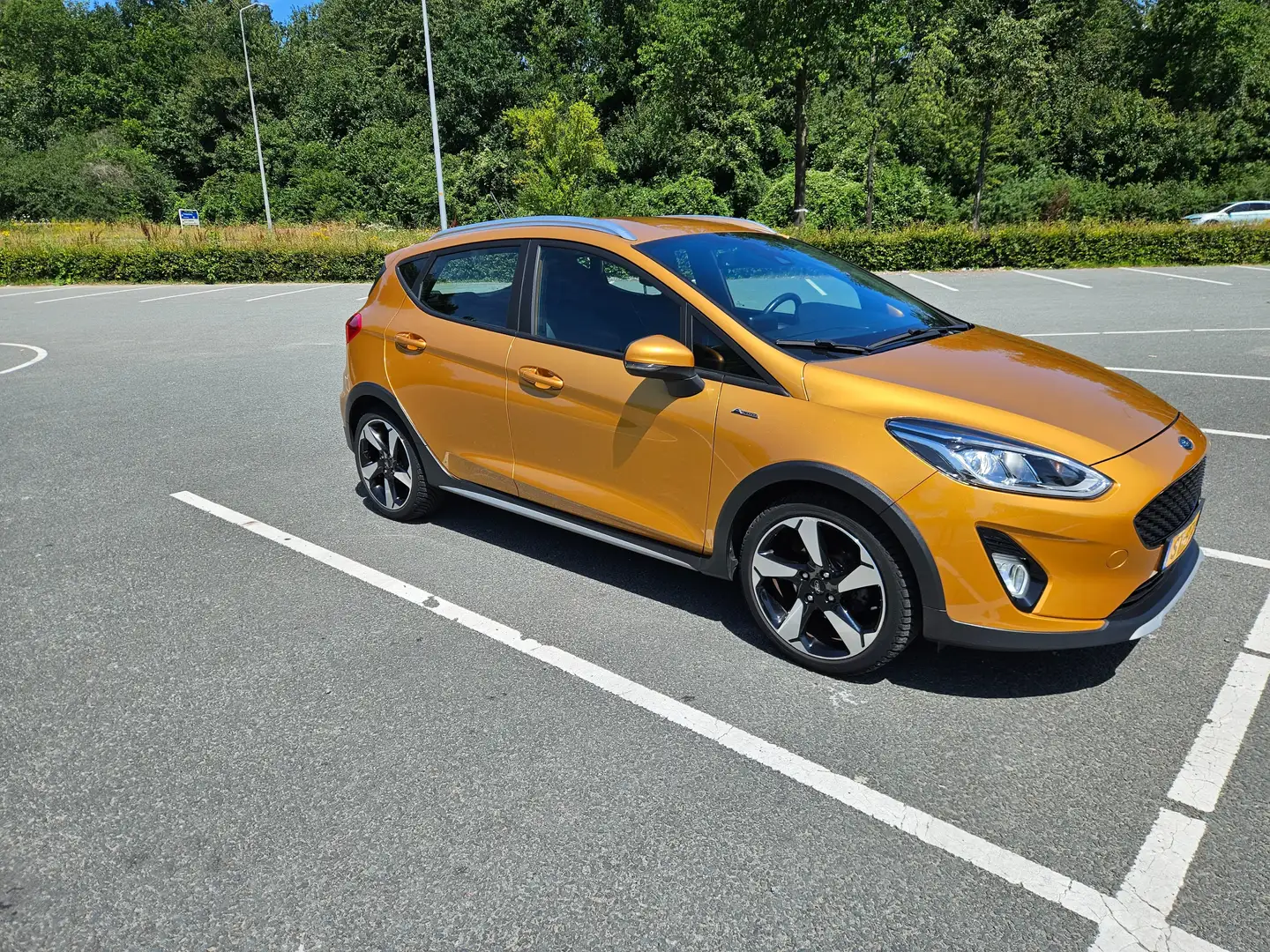 Ford Fiesta Fiesta 1.0 EcoB. Active F.E Goud - 1