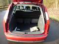 Ford Focus C-Max Focus C-Max 1.8 Duratec-HE PFI Czerwony - thumbnail 11