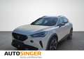 CUPRA Formentor 1,5 TSI *NAVI*AHK*LED*ACC*ALU18*SHZ* Weiß - thumbnail 1