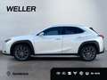 Lexus UX 250h Launch Edition *Navi*LED*CAM*Spurhalteass* Білий - thumbnail 5