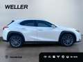Lexus UX 250h Launch Edition *Navi*LED*CAM*Spurhalteass* Білий - thumbnail 9
