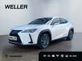 Lexus UX 250h Launch Edition *Navi*LED*CAM*Spurhalteass* Білий - thumbnail 1