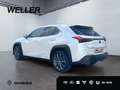 Lexus UX 250h Launch Edition *Navi*LED*CAM*Spurhalteass* Білий - thumbnail 7