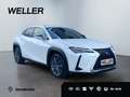 Lexus UX 250h Launch Edition *Navi*LED*CAM*Spurhalteass* Білий - thumbnail 4