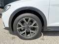 Audi A1 30 TFSI intense Weiß - thumbnail 4