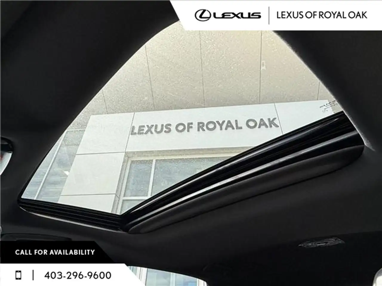 Lexus RX photo Lexus RX