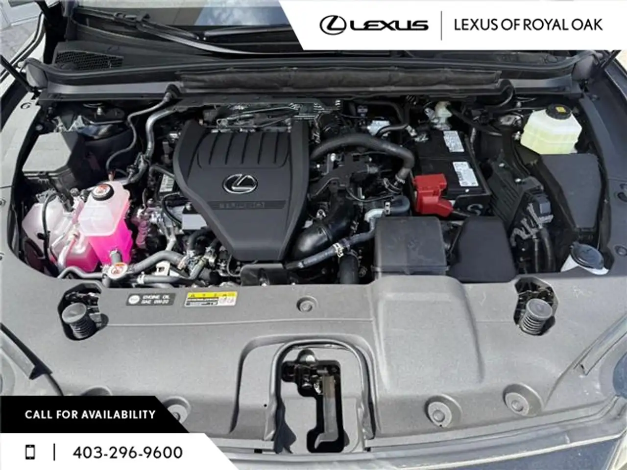Lexus RX photo Lexus RX
