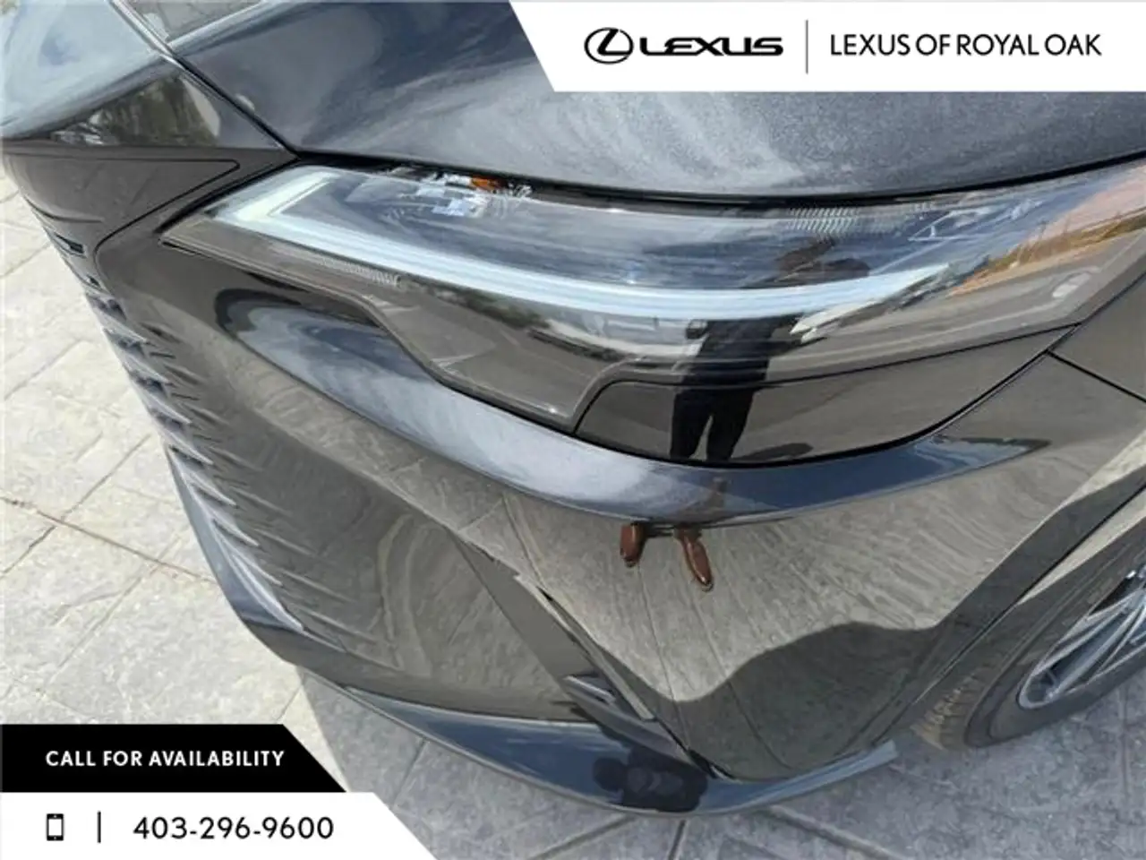 Lexus RX photo Lexus RX