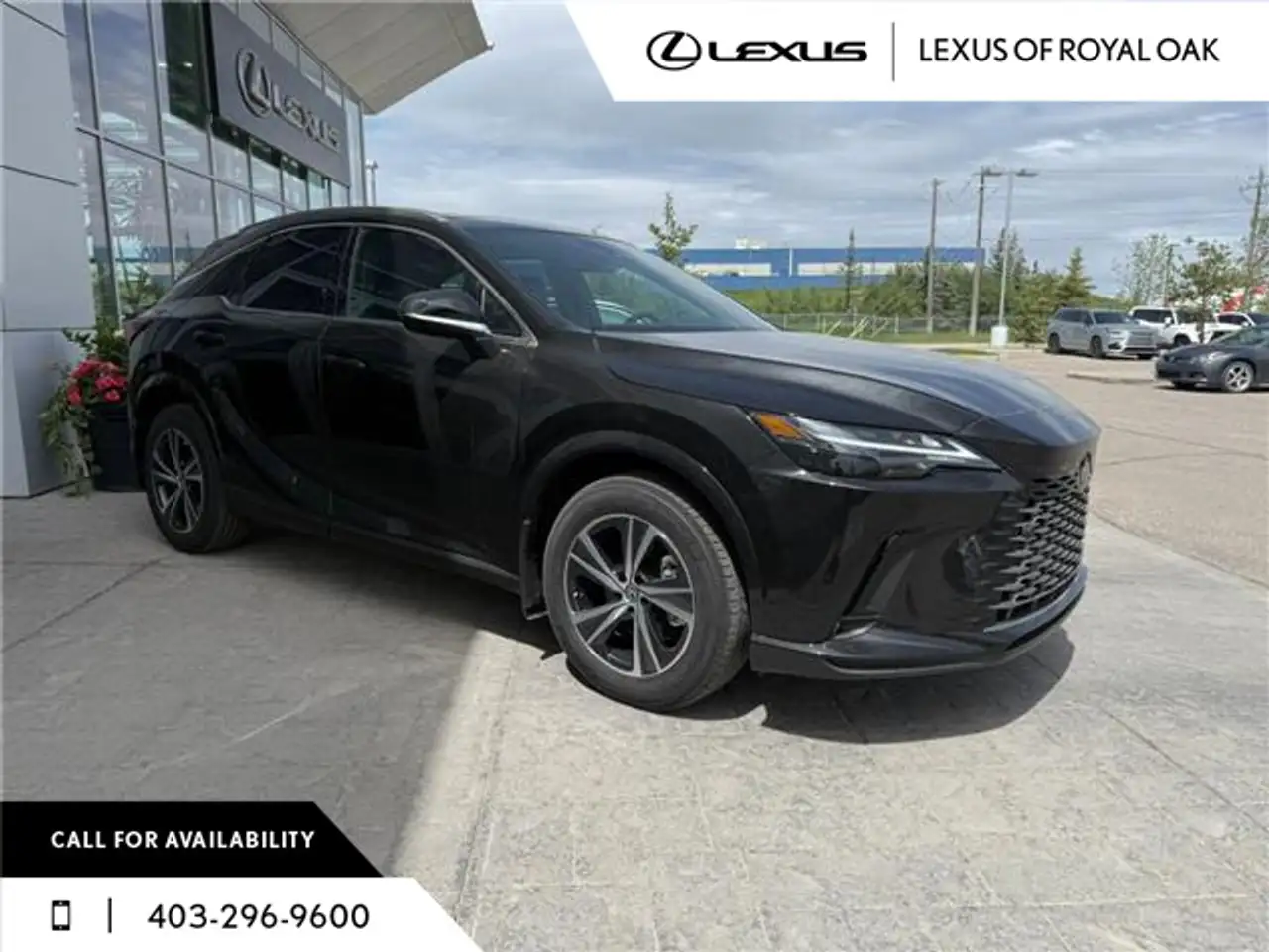 Lexus RX photo Lexus RX