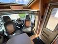 Euramobil Contura 660HB - Festbett - Solar - auto.Sat/TV Weiß - thumbnail 26
