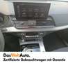 Audi Q5 35 TDI S line Grau - thumbnail 10