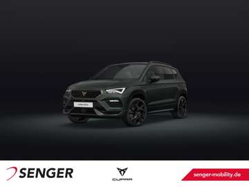 VZ Tribe Edition AHK PANO Brembo Akrapovic