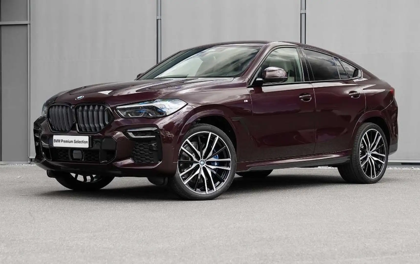 BMW X6 xDrive40d 48V Aut. - 1