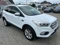 Ford Kuga 1,5 TDCi Titanium/TOP ZUSTAND/NAVI Weiß - thumbnail 4