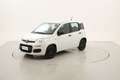 Fiat Panda Easy 1.2 Benzina 69CV Bianco - thumbnail 1