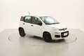 Fiat Panda Easy 1.2 Benzina 69CV Bianco - thumbnail 7