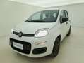 Fiat Panda Easy 1.2 Benzina 69CV Bianco - thumbnail 9