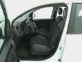 Fiat Panda Easy 1.2 Benzina 69CV Bianco - thumbnail 10