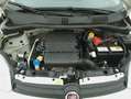 Fiat Panda Easy 1.2 Benzina 69CV Bianco - thumbnail 13