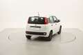 Fiat Panda Easy 1.2 Benzina 69CV Bianco - thumbnail 5