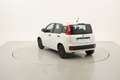 Fiat Panda Easy 1.2 Benzina 69CV Bianco - thumbnail 3