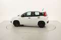 Fiat Panda Easy 1.2 Benzina 69CV Bianco - thumbnail 2