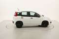 Fiat Panda Easy 1.2 Benzina 69CV Bianco - thumbnail 6