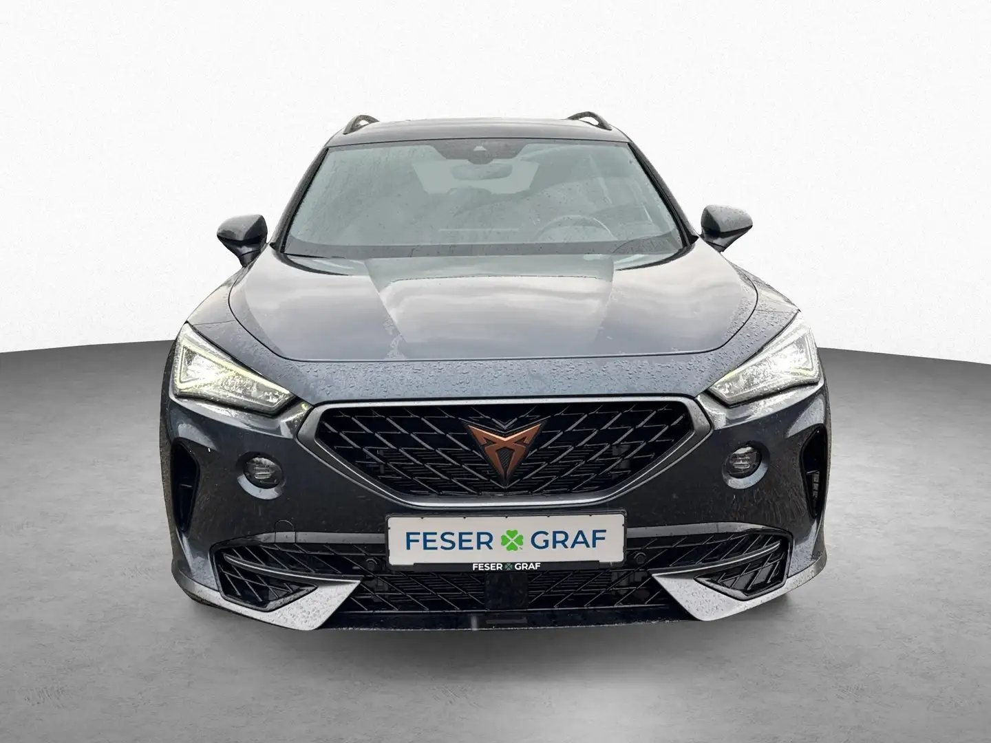 CUPRA Formentor VZ 2.0 TSI 4Drive|AHK|Beats|Full Link Grigio - 2