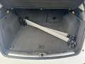 Audi Q5 3.0 TDI*LEDER*PANO*PDC*OFF ROAD* Weiß - thumbnail 9