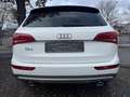 Audi Q5 3.0 TDI*LEDER*PANO*PDC*OFF ROAD* Weiß - thumbnail 8