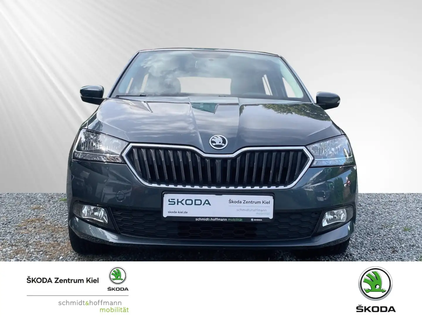 Skoda Fabia 1.0 TSI Cool Plus OPF (EURO 6d) Klima Grau - 2