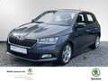 Skoda Fabia 1.0 TSI Cool Plus OPF (EURO 6d) Klima Grau - thumbnail 1