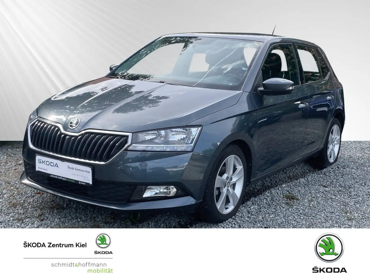 Skoda Fabia 1.0 TSI Cool Plus OPF (EURO 6d) Klima Grau - 1