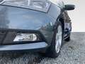 Skoda Fabia 1.0 TSI Cool Plus OPF (EURO 6d) Klima Grau - thumbnail 6