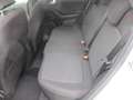 Ford Fiesta ST-Line, ACC, Winter-Paket, RF-Kamera Silber - thumbnail 20