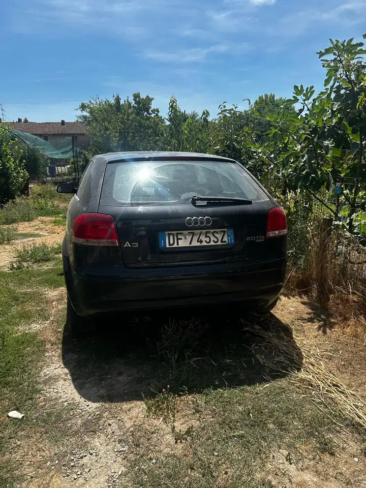 Audi A3 3p 1.9 tdi Ambiente 90cv FL, foto 2