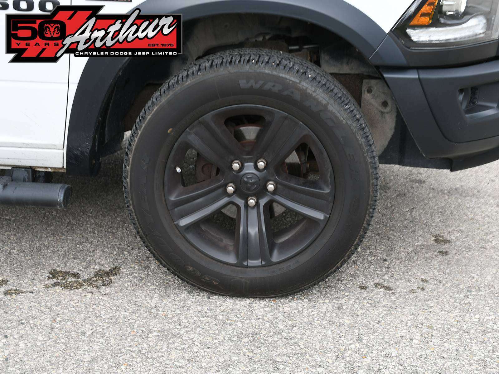 Image 7