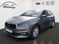 Skoda Fabia Selection 1.0 TSI *Tempomat*RFK*SHZ*LED* Gris - thumbnail 1