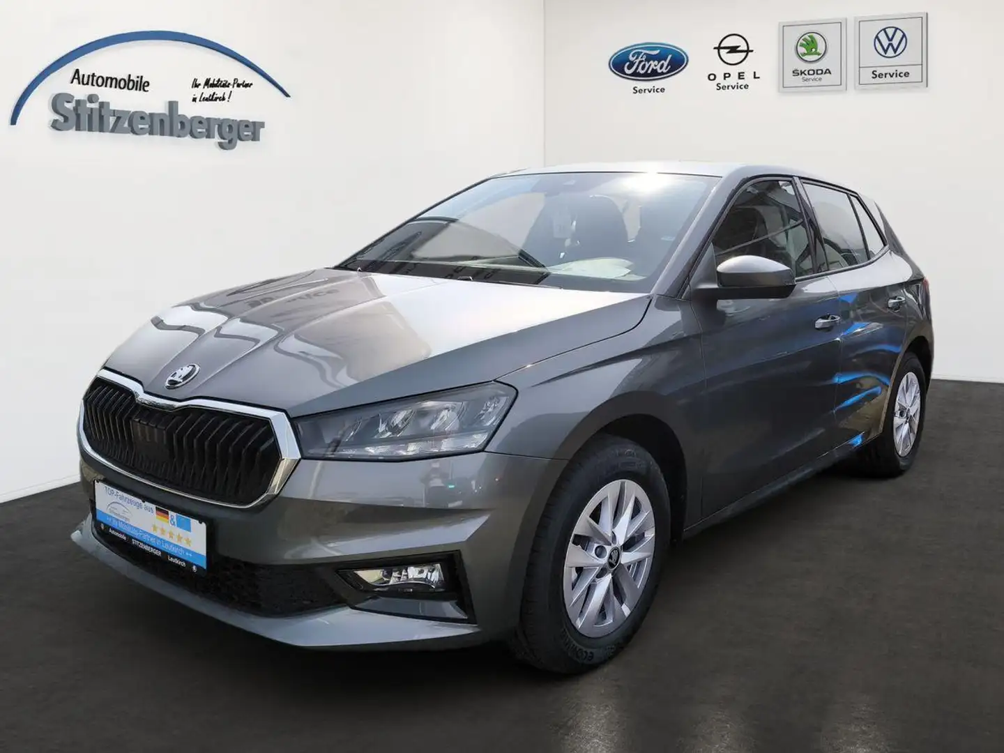 Skoda Fabia Selection 1.0 TSI *Tempomat*RFK*SHZ*LED* Gris - 1